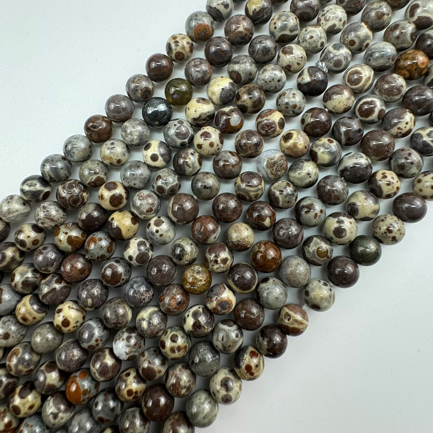 Ocean Fossil Jasper Polished Round Beads image 0