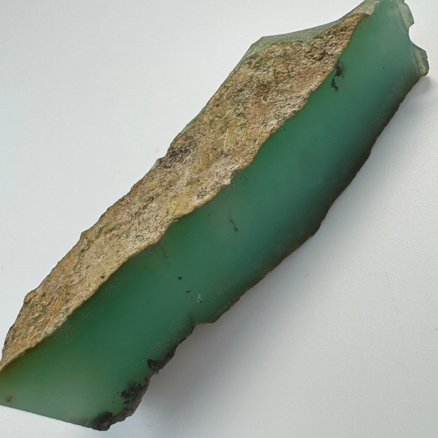 Blue Dendritic Opal (113 grams) image 3