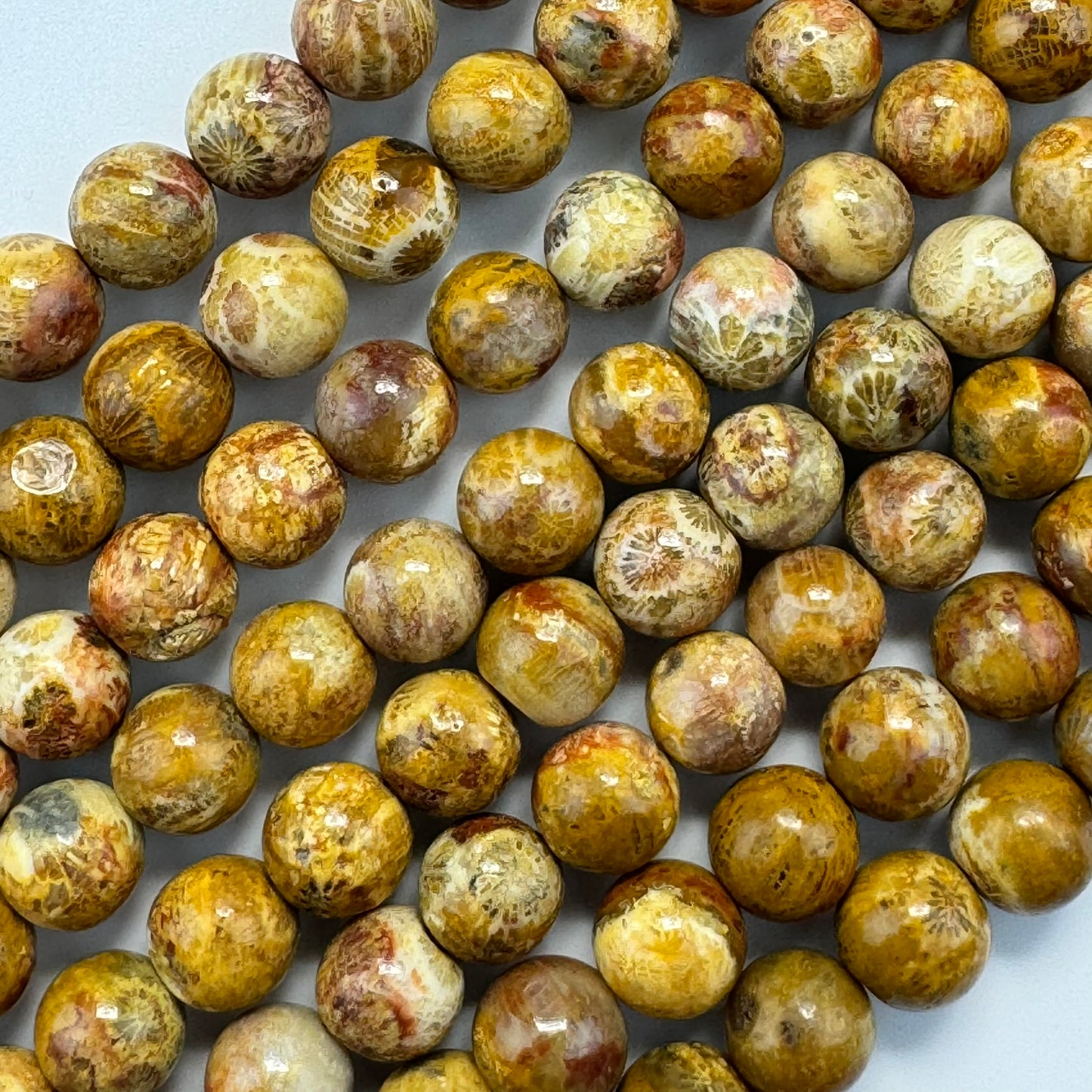 Fossilized Coral Polished Roudn Beads image 3
