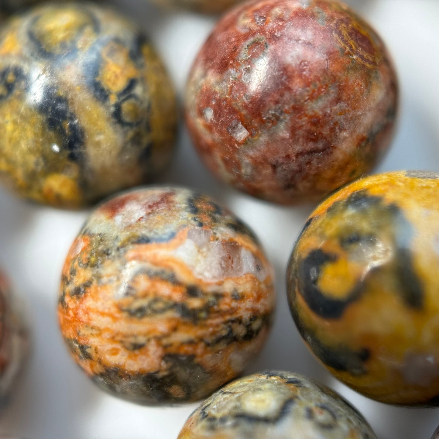 Red Leopard Skin Jasper Polished Round Beads image 5