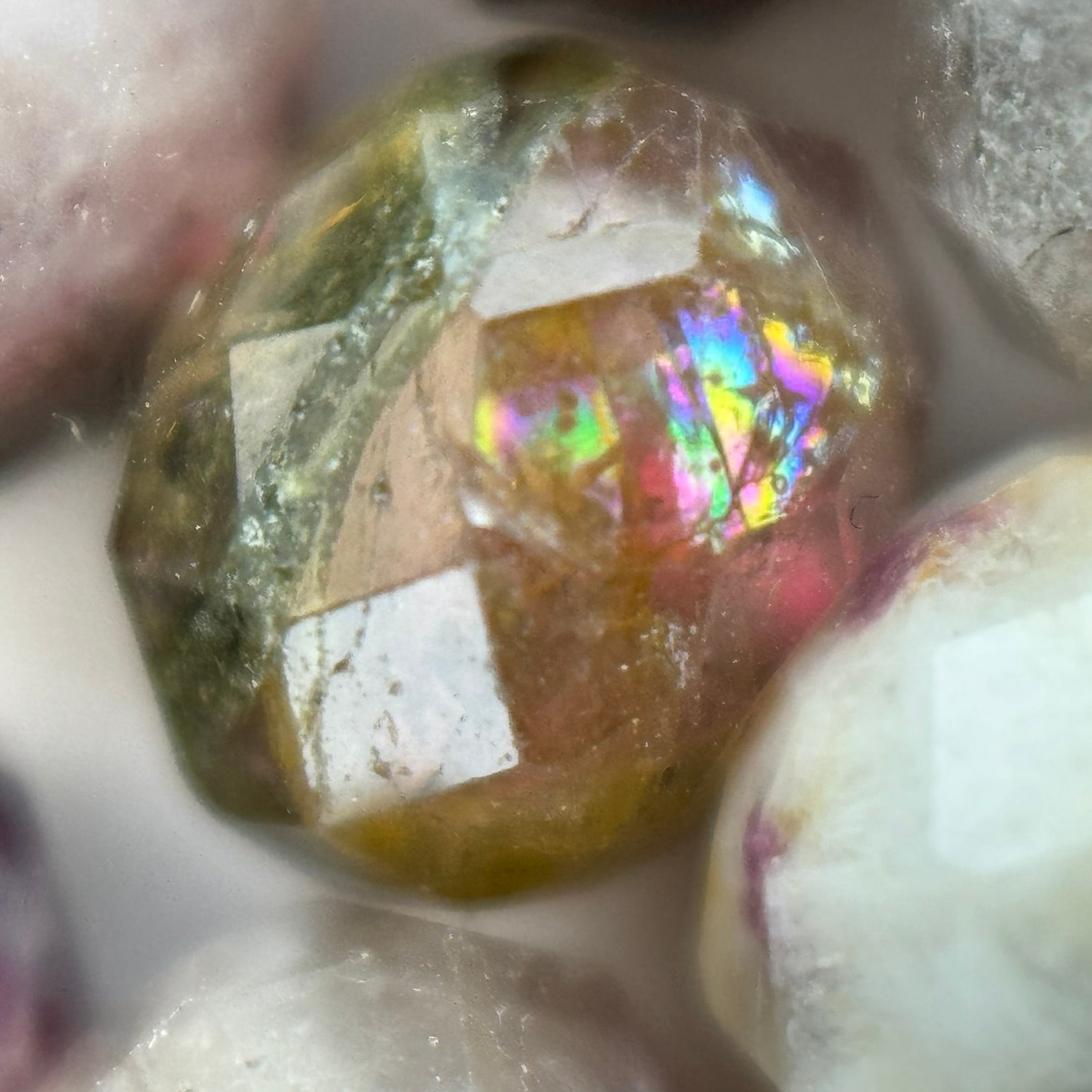 Tourmaline Faceted Rondelle Beads (6x4mm) image 1