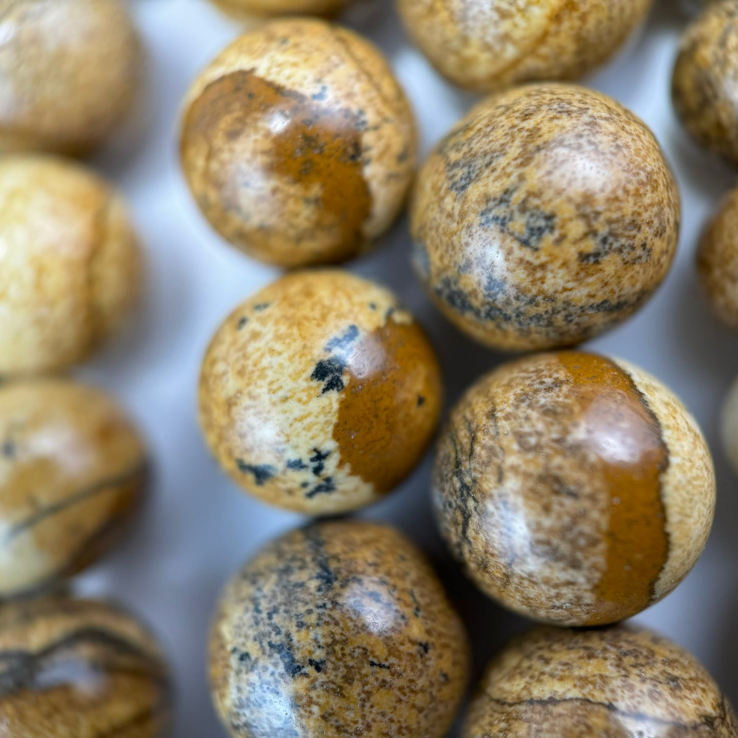 Picture Jasper Polished Round Beads image 1