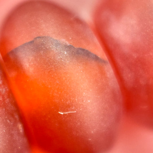 Carnelian Beads - Frosted Rondelle