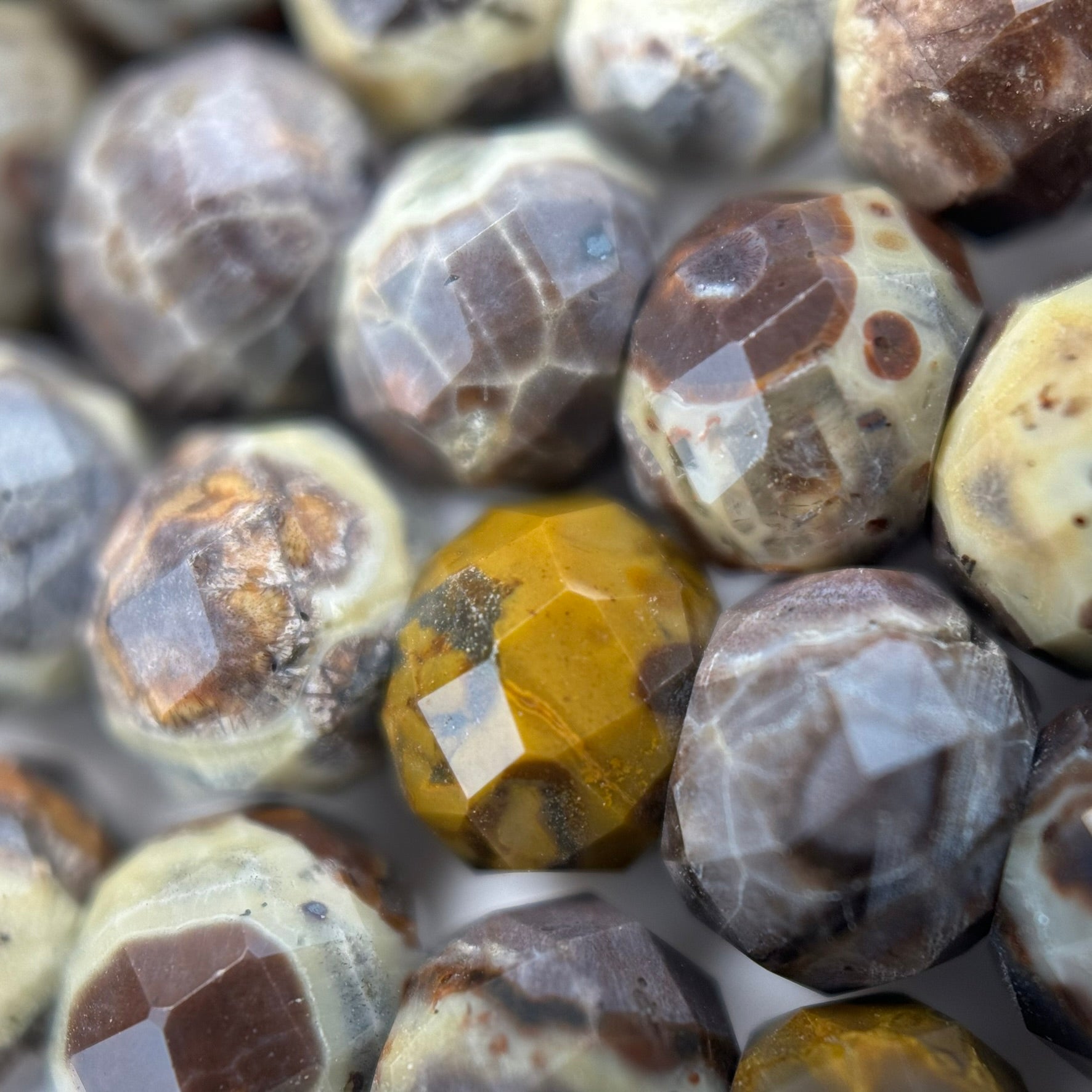 Ocean Fossil Jasper Faceted Rondelle Beads image 2