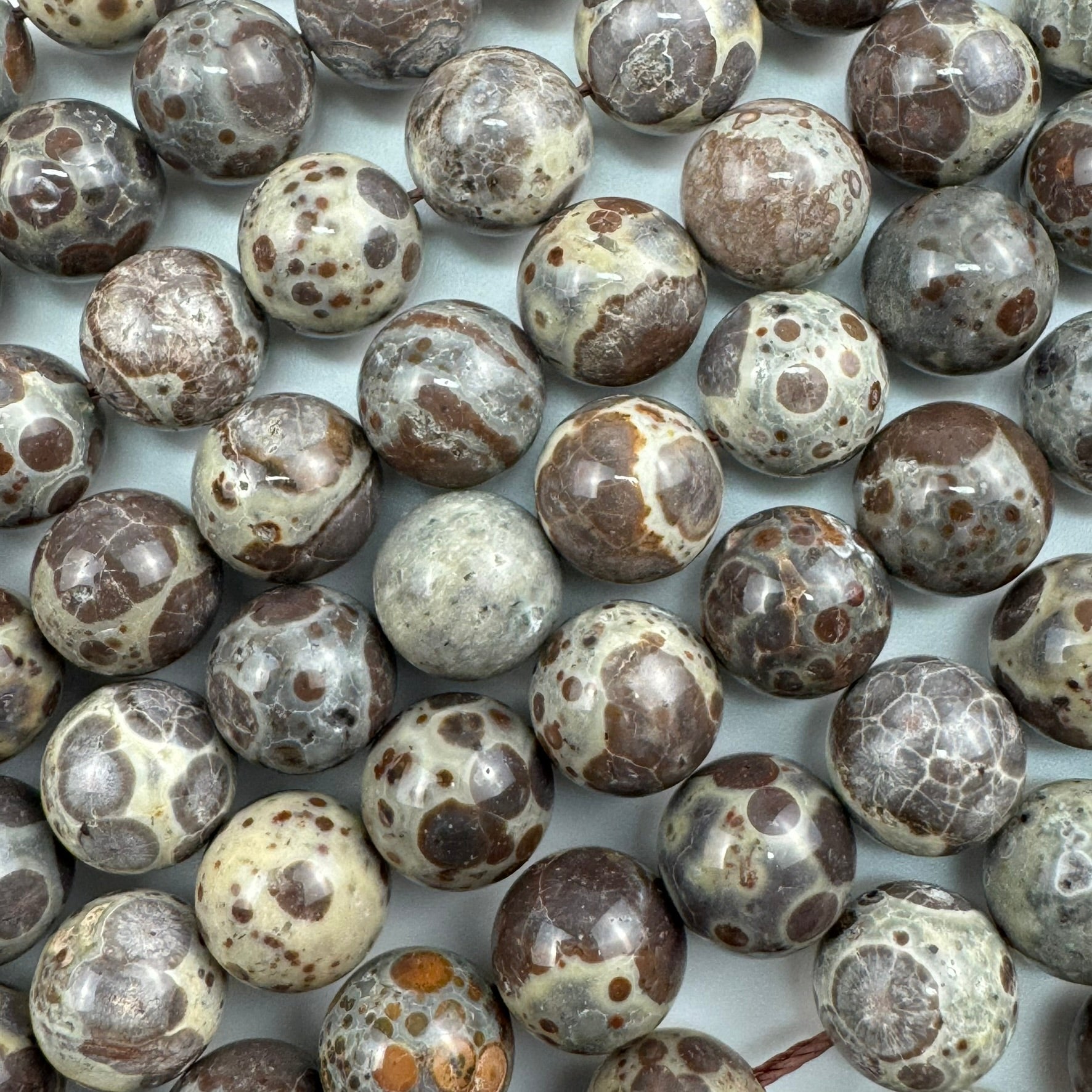 Ocean Fossil Jasper Polished Round Beads image 5