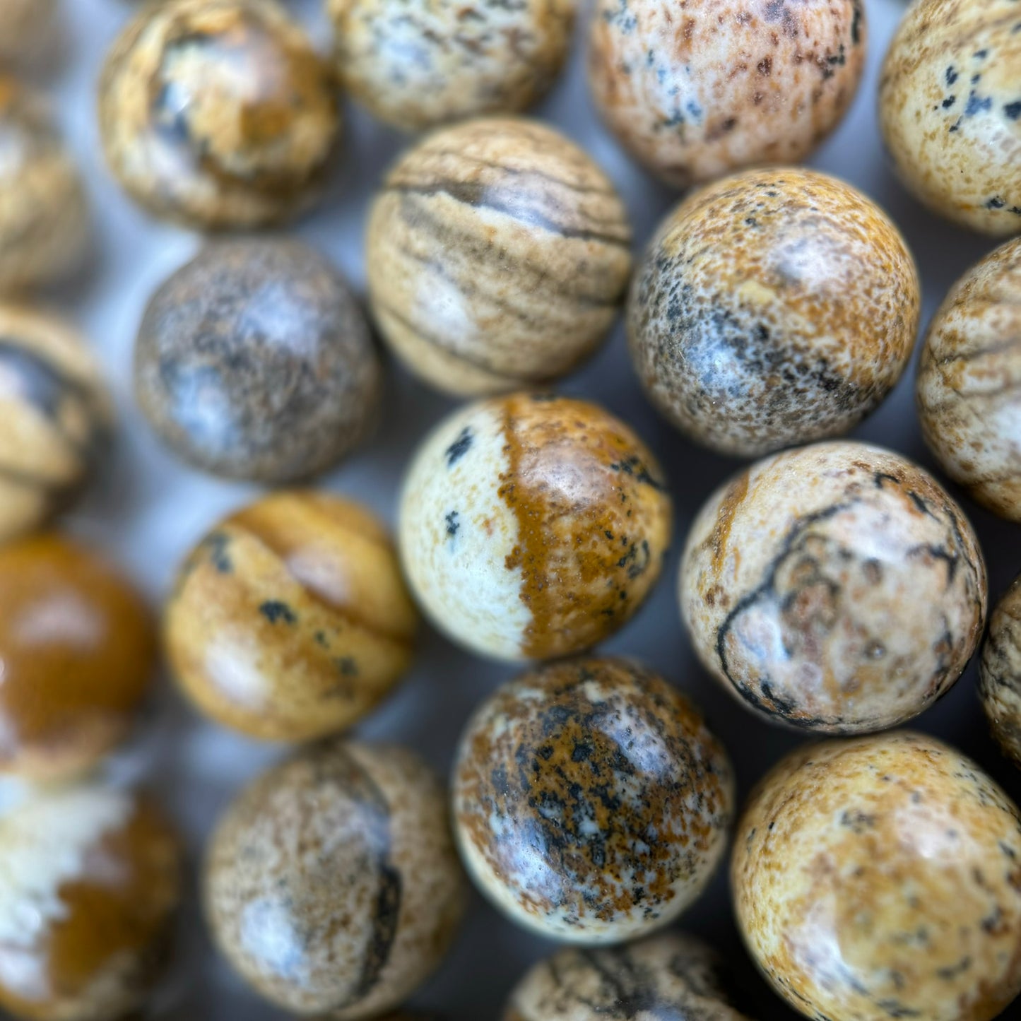 Picture Jasper Polished Round Beads image 4