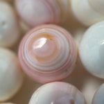 Pink Shell Polished Round Beads image 1