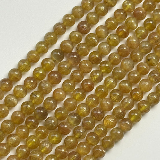 Golden Cat's Eye Apatite Polished Round Beads