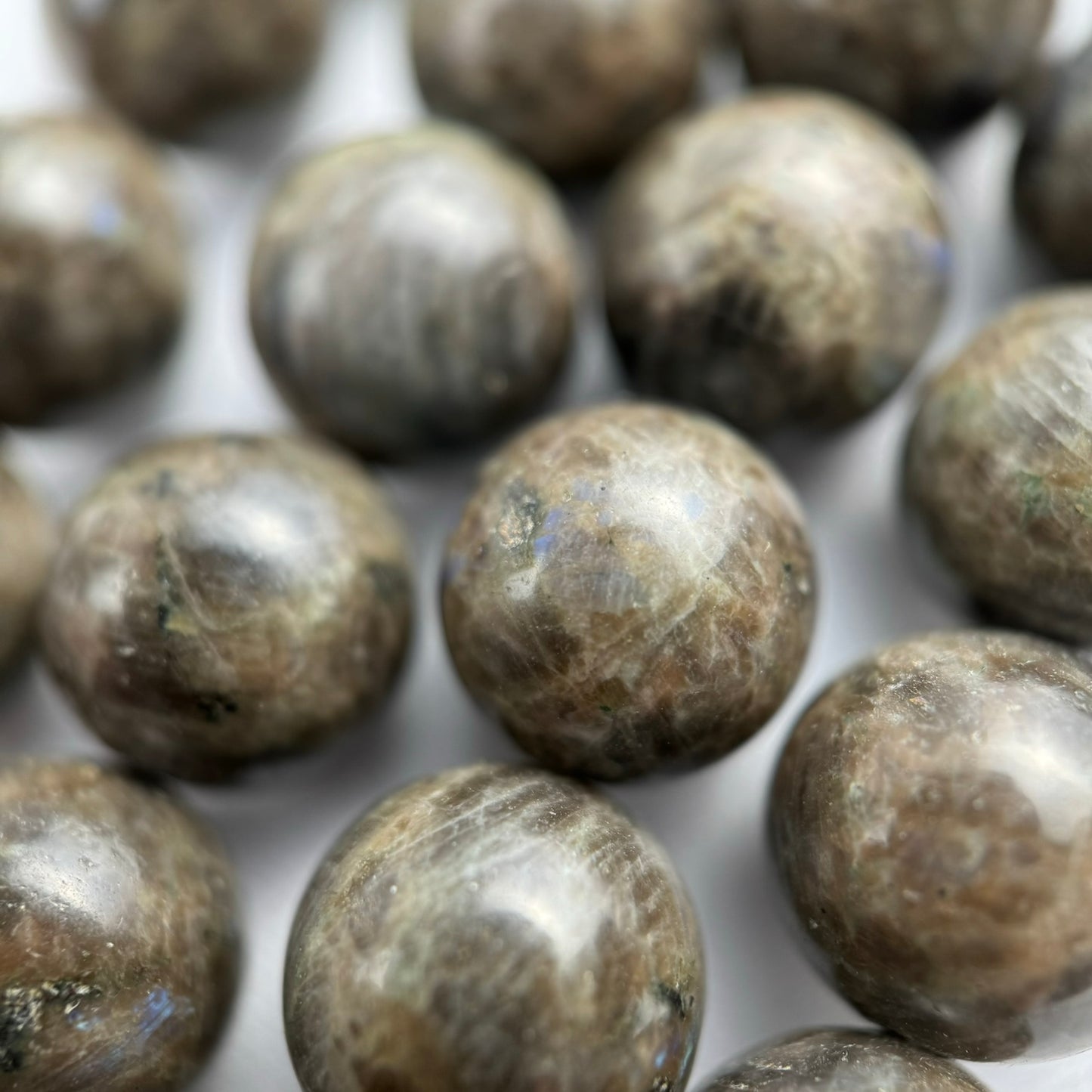 Chocolate Labradorite Polished Round Beads image 5