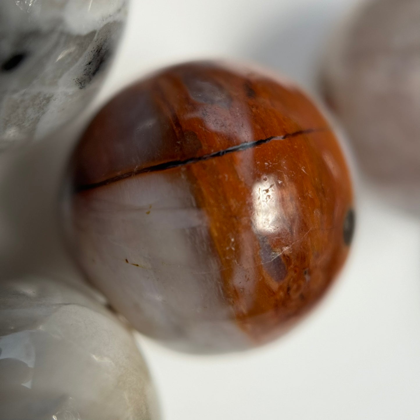 White Petrified Wood Polished Round Beads image 9