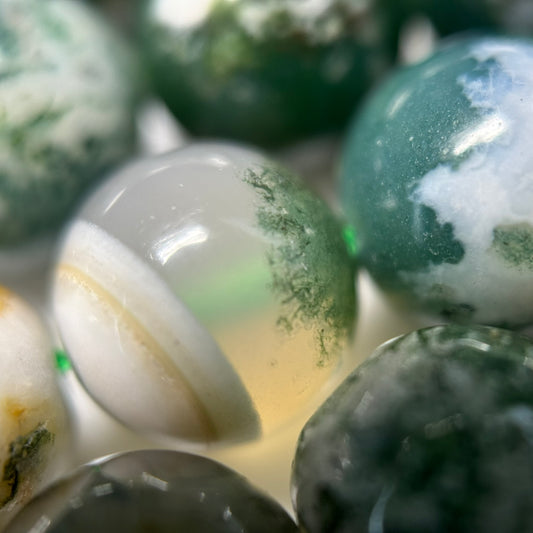 Tree Moss Agate Beads - Round Polished