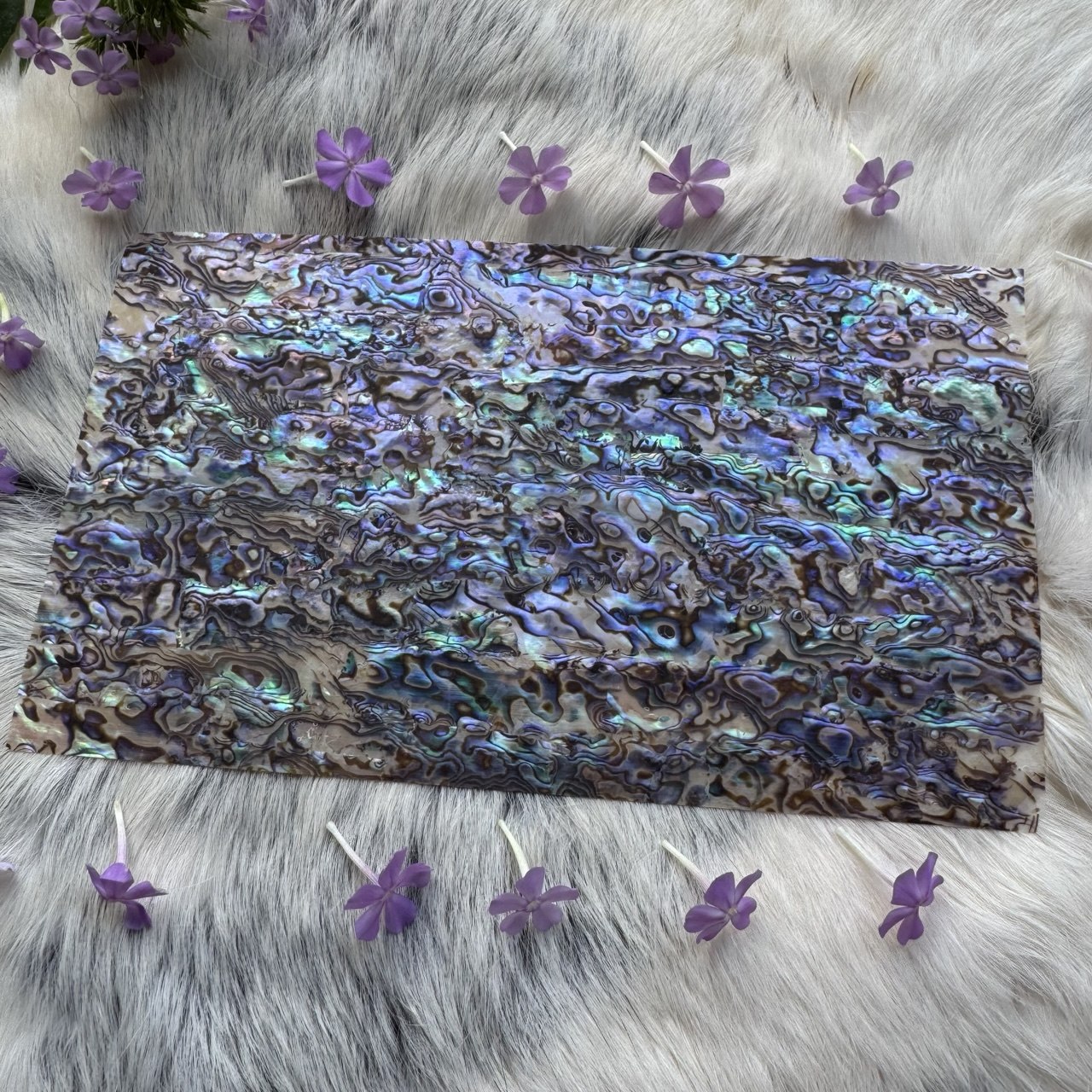Natural Abalone Shell Inlay Sheet for Jewelry Making & Crafts