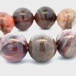 Bracelet: Petrified Wood Bracelet