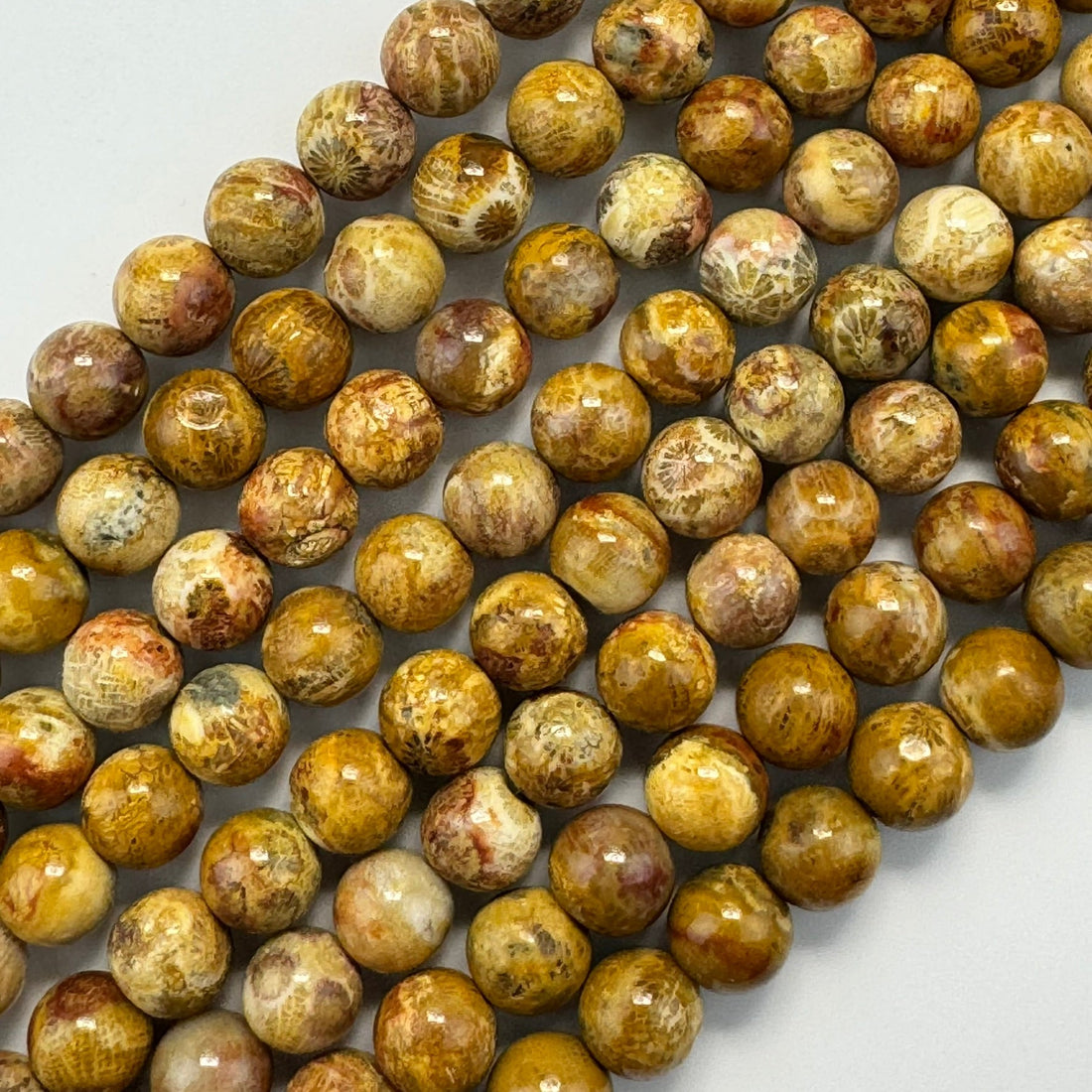 fossilized coral polished round gemstone beads