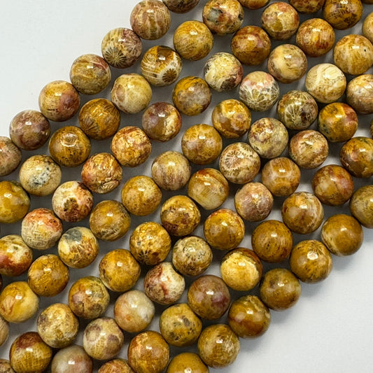 fossilized coral polished round gemstone beads