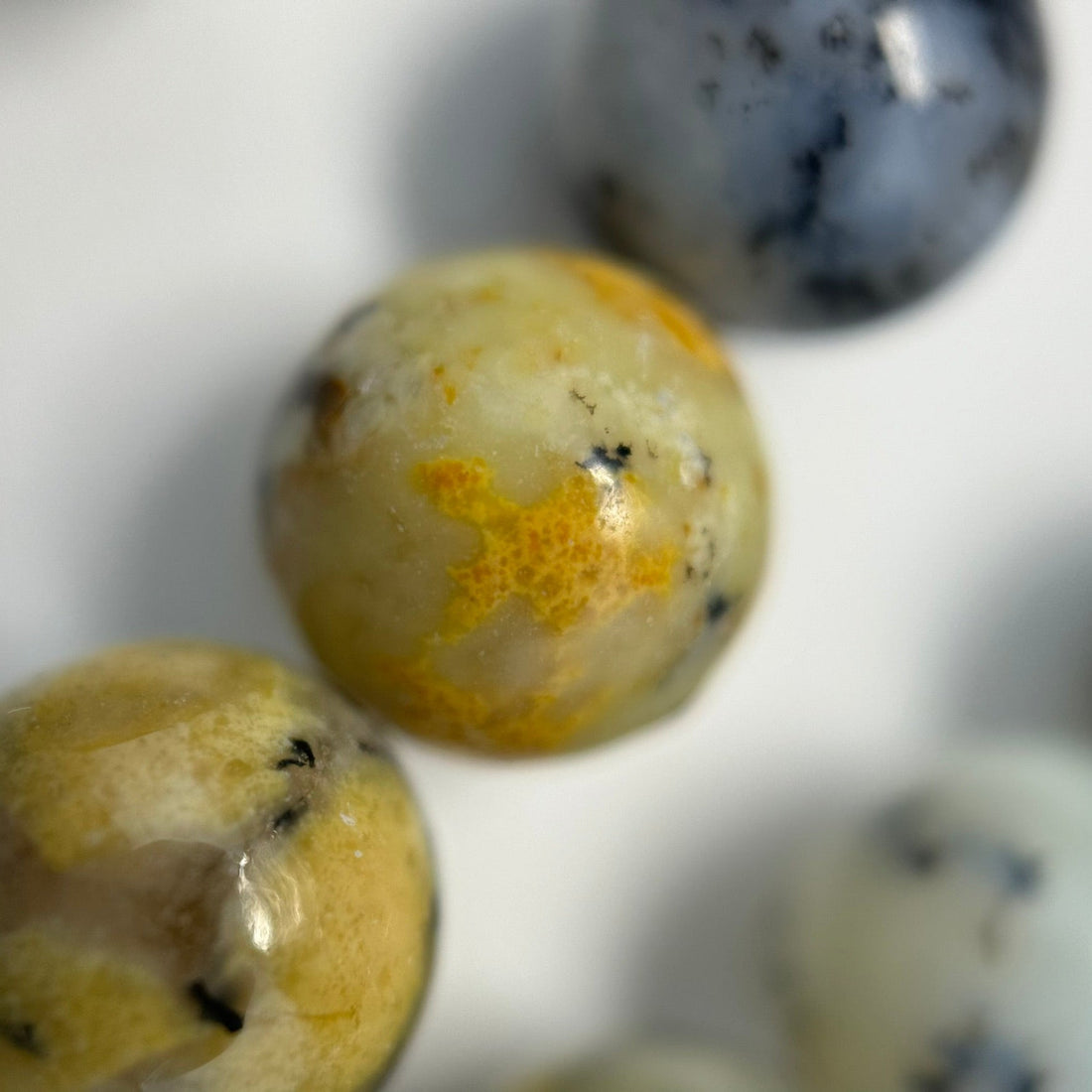 Different types of natural opal including black opal, white opal, boulder opal, crystal opal, and orange fire opal.