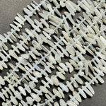 Rainbow Moonstone Polished Blade Beads image 3