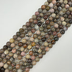 Brown Petrified Wood Polished Round Beads image 4