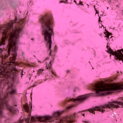 Watermelon Tourmaline (100 CT) image 9