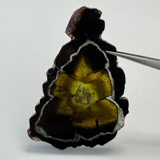 Watermelon Tourmaline (217 CT) image 0