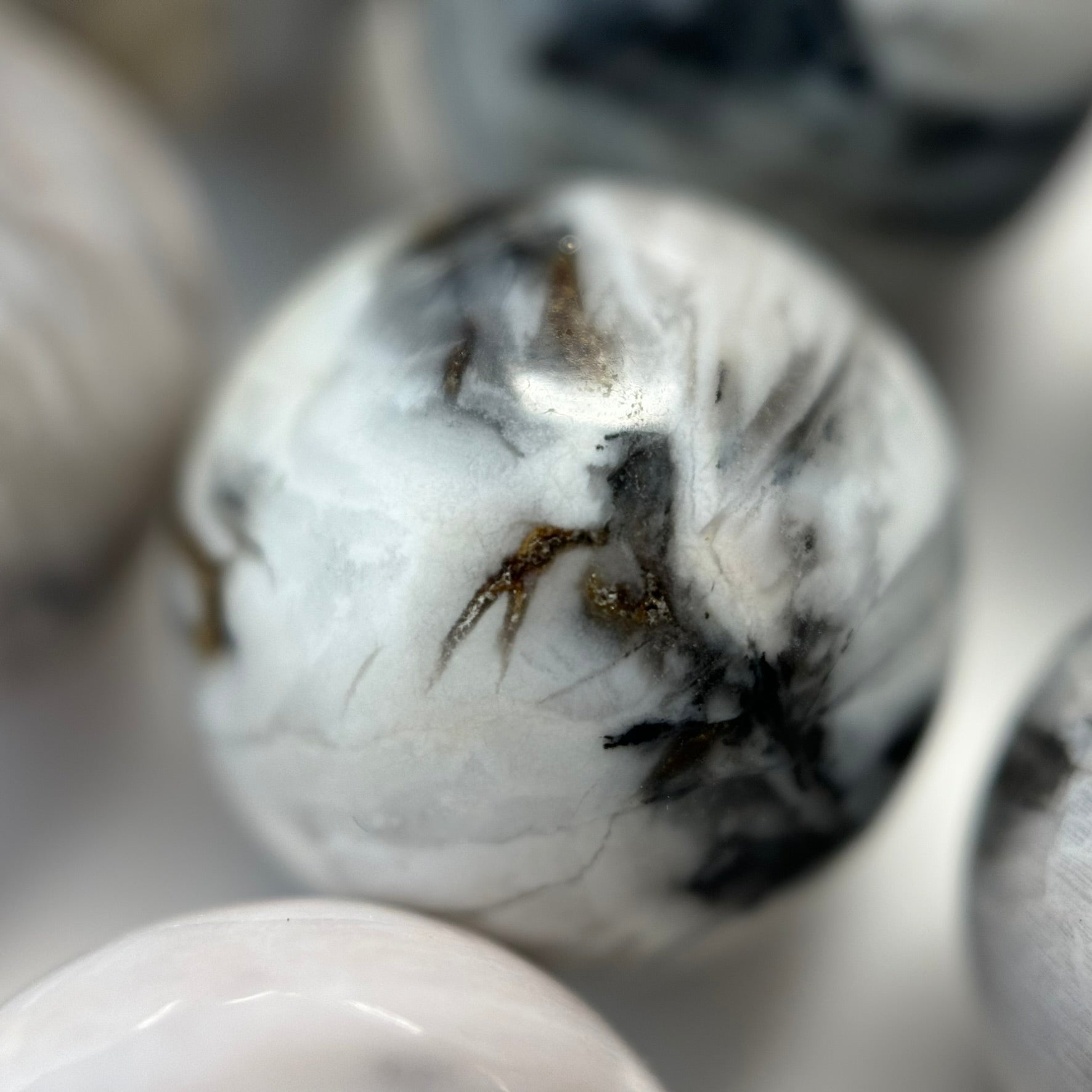 White Petrified Wood Polished Round Beads image 1
