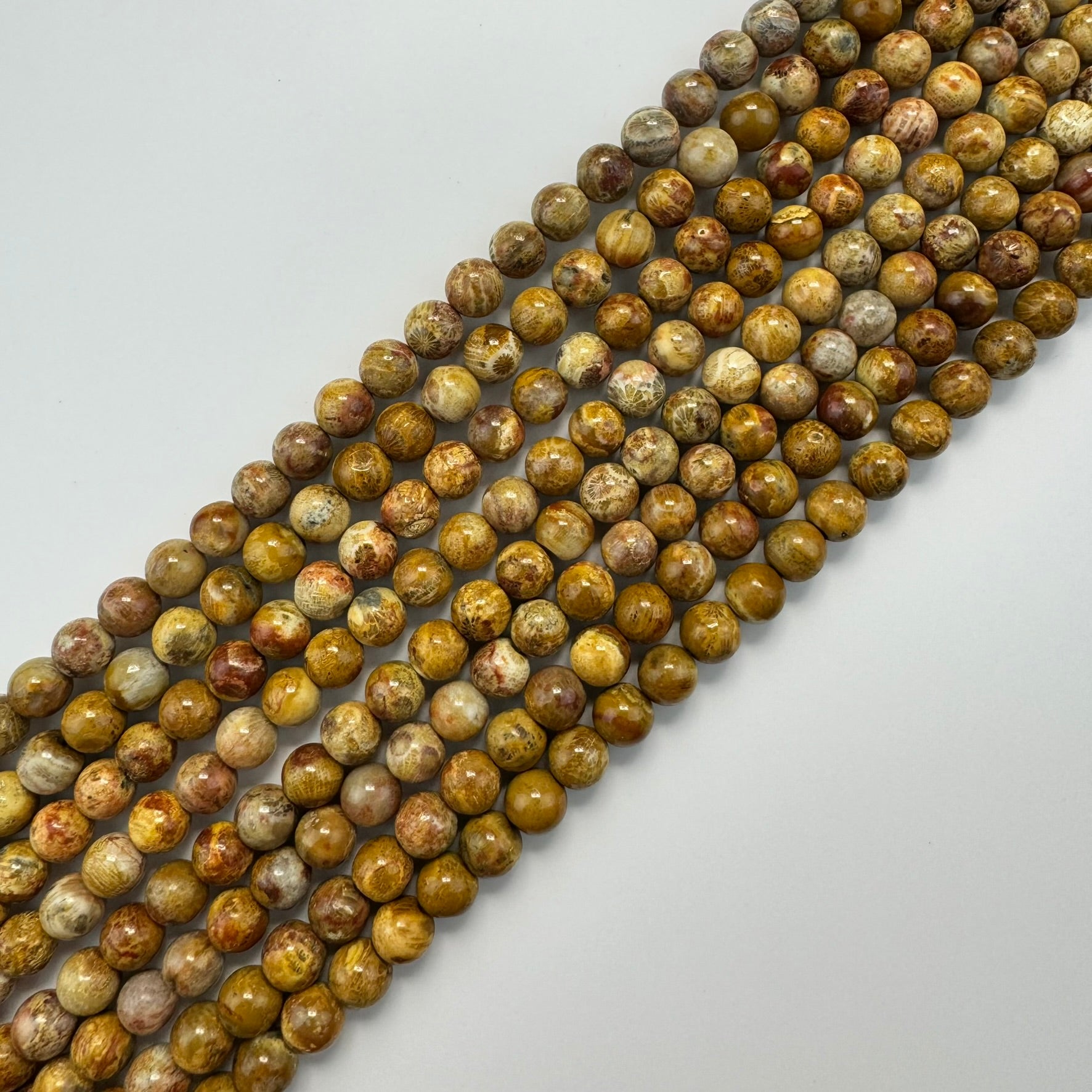 Fossilized Coral Polished Roudn Beads image 1