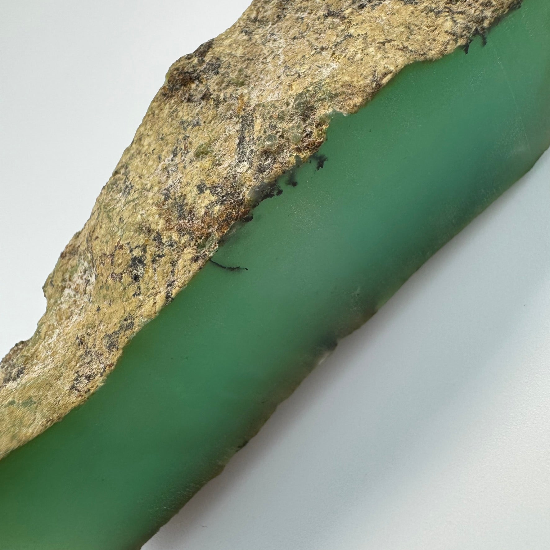 Blue Dendritic Opal (113 grams) image 6