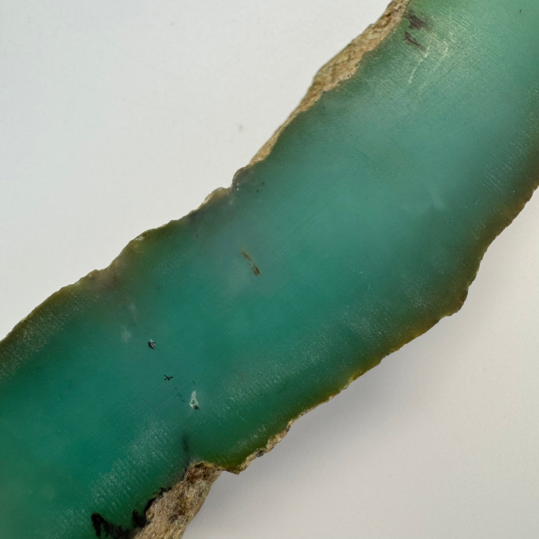 Blue Dendritic Opal (113 grams) image 1