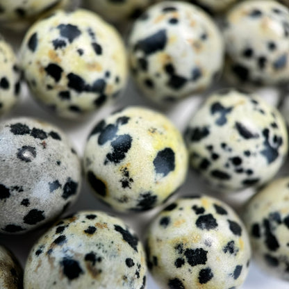 Dalmatian Jasper Polished  Round Beads image 1