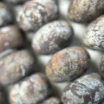 Brown Coral Jasper Frosted Rondelle Beads image 4
