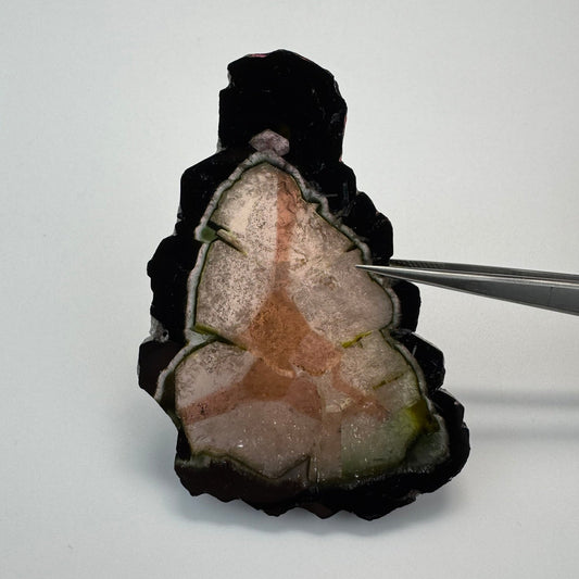 Watermelon Tourmaline (219 CT)