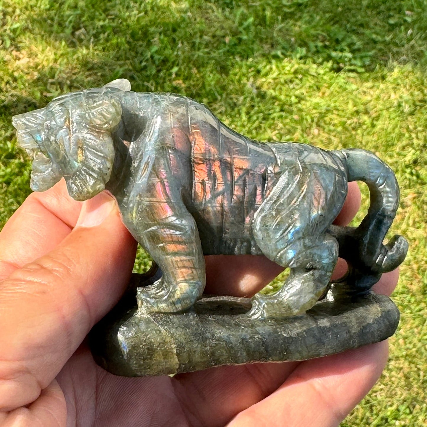Labradorite Tiger Carving (4 x 2.5 inches) image 1