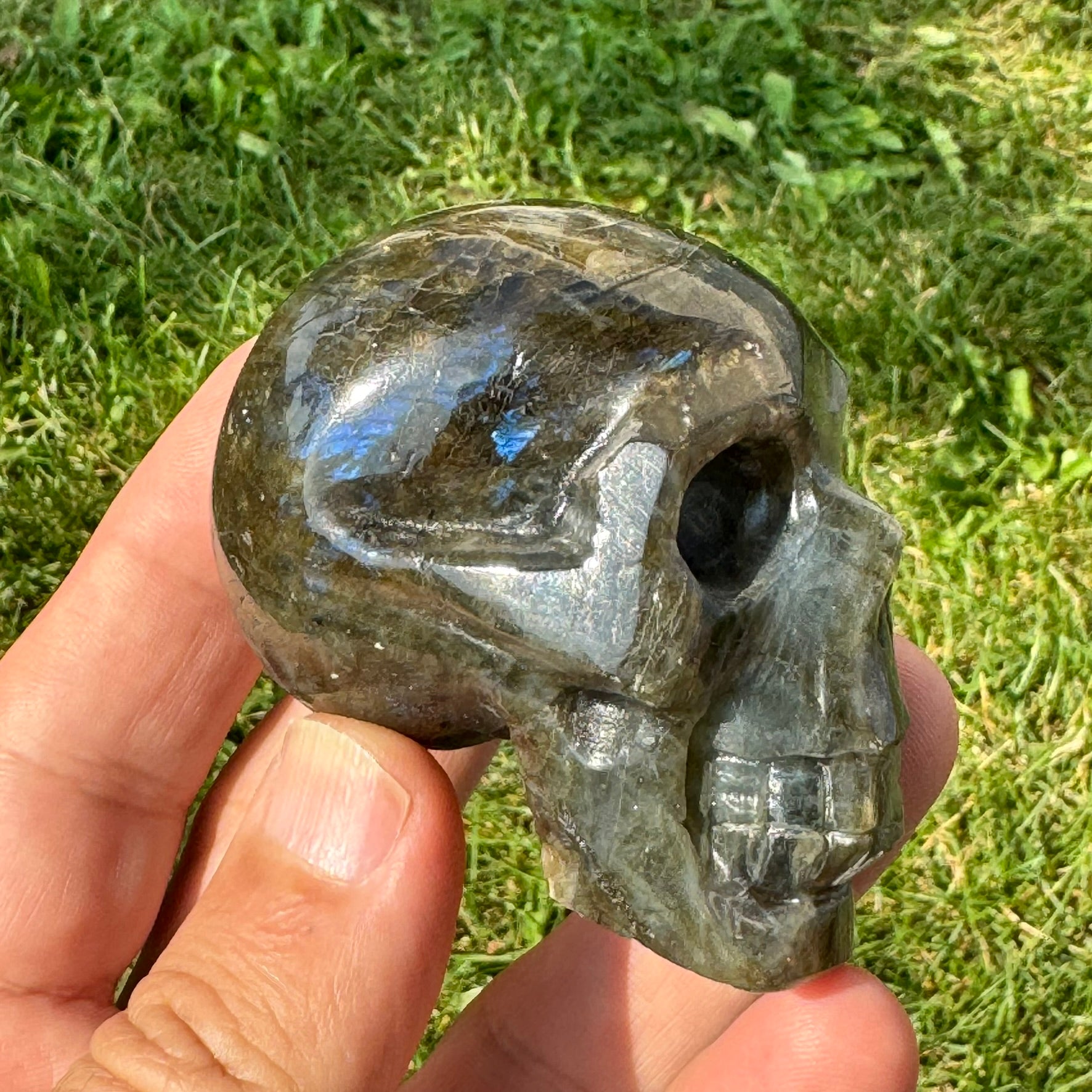 Labradorite Skull Carving (3 x 2.5 inches) image 1