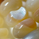 Rainbow Mother Of Pearl Beads image 6