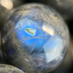 Black Labradorite Polished Round Beads image 13