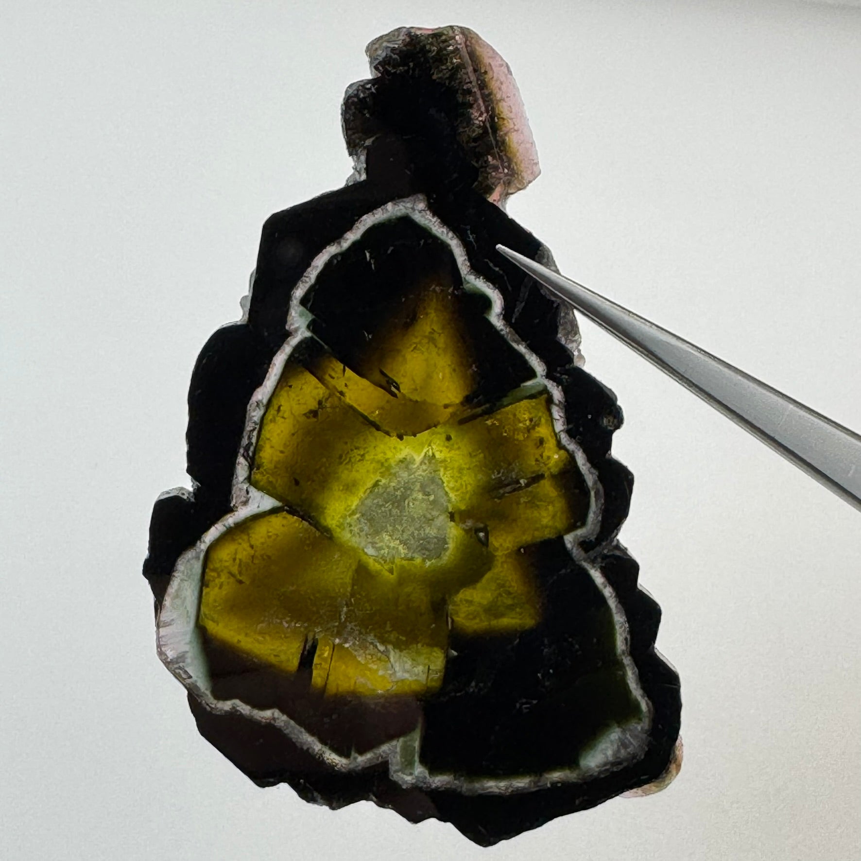 Watermelon Tourmaline (217 CT) image 8