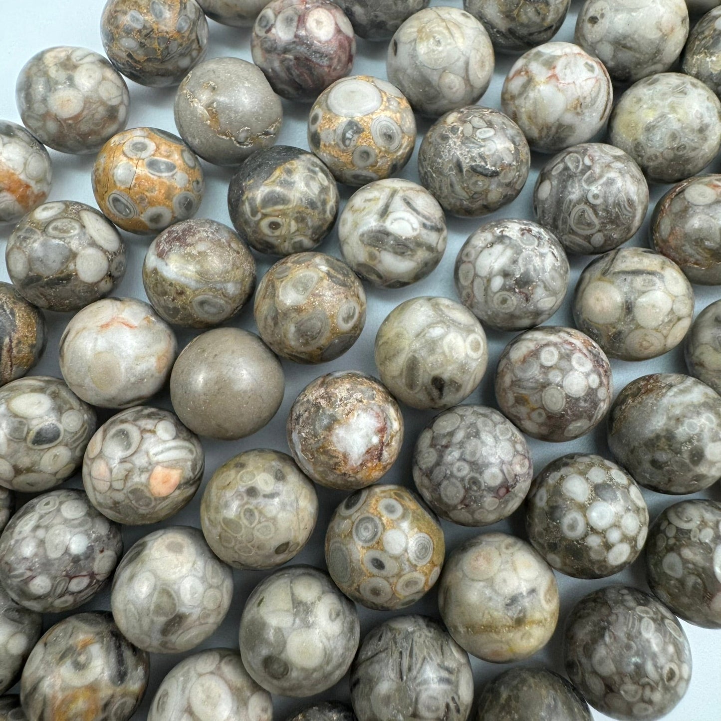 Oolite Polished  Round Beads image 1