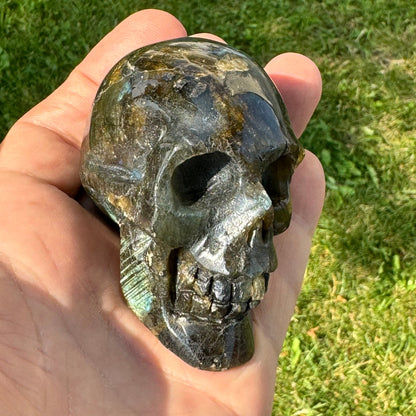 Labradorite Skull Carving (3 x 2.5 inches) image 2