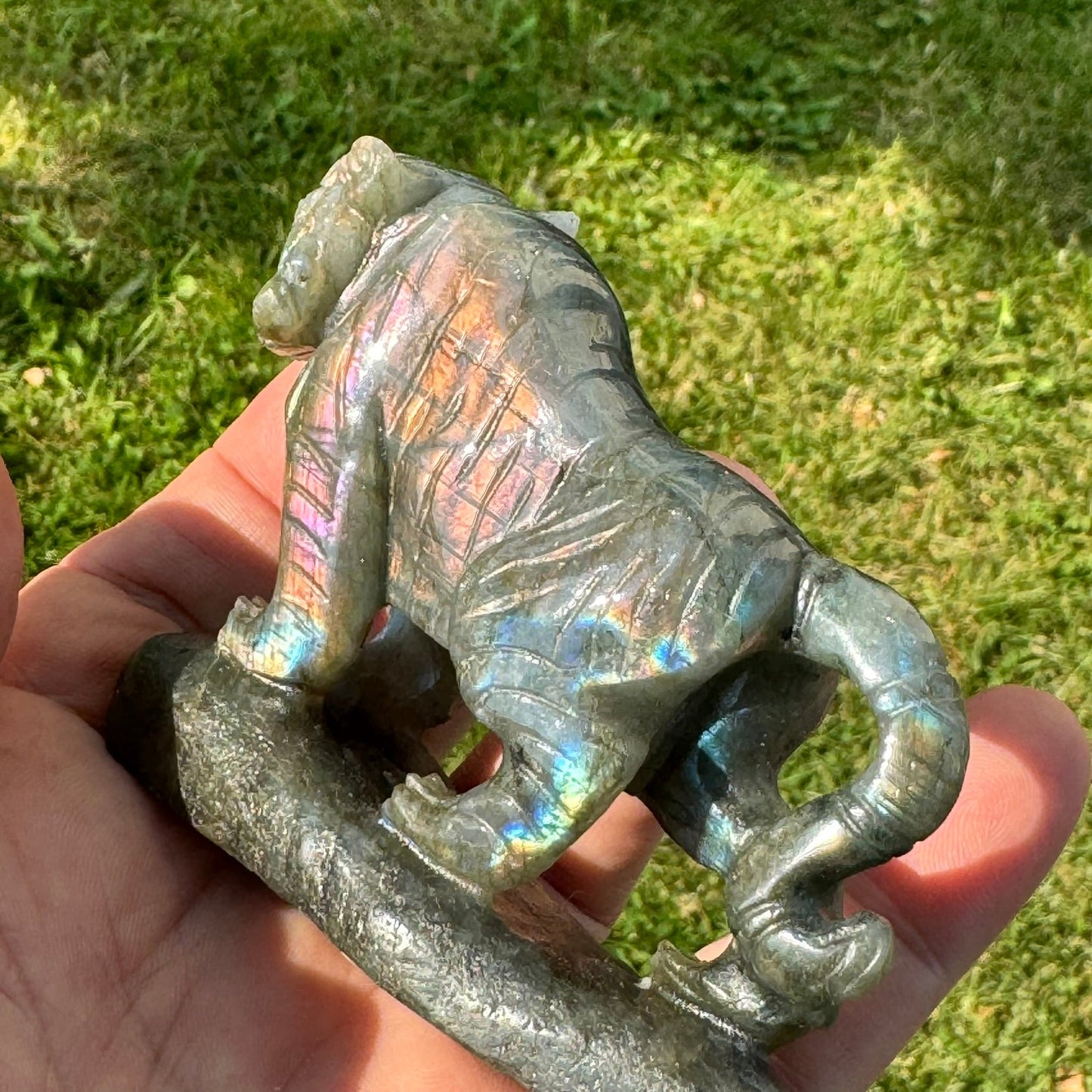 Labradorite Tiger Carving (4 x 2.5 inches) image 2