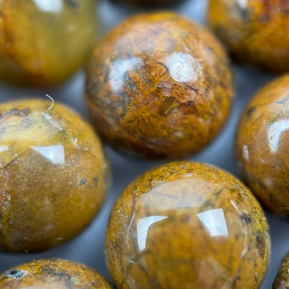 Jasper Green Chrome Polished Round Beads (A Quality)
