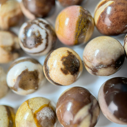 Australian Zebra Jasper Polished Round Beads image 4