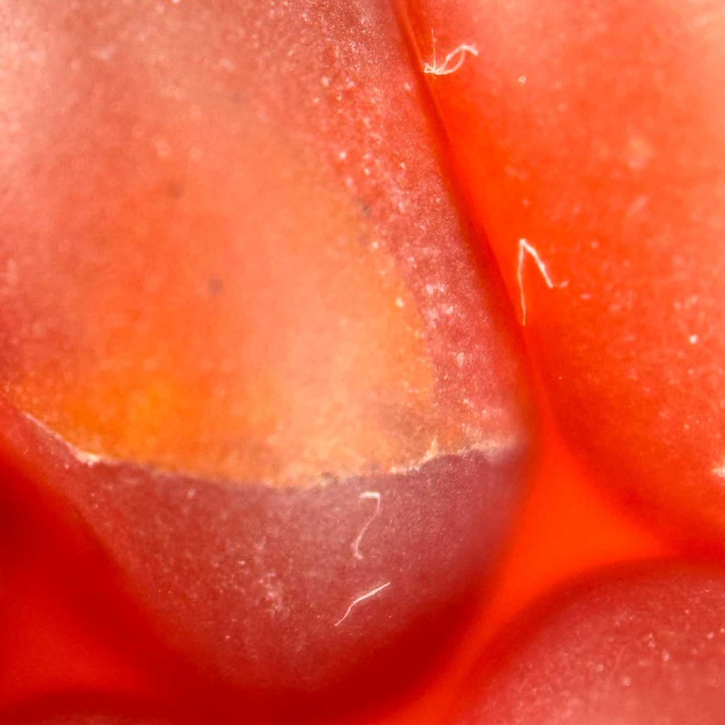 Carnelian Frosted Rondelle Beads image 3