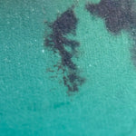 Blue Dendritic Opal (113 grams) image 9