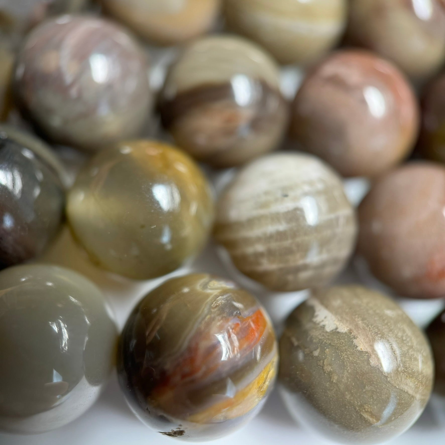 Brown Petrified Wood Polished Round Beads image 1