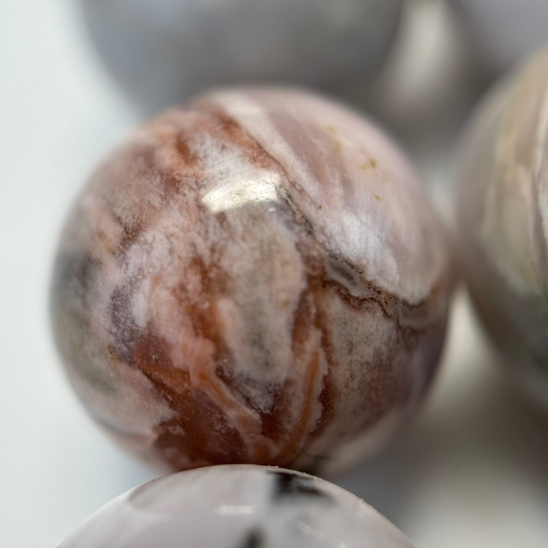 White Petrified Wood Polished Round Beads image 2