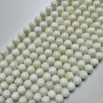 White Shell Polished  Round Beads image 9
