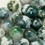 Tree Moss Agate Polished Round Beads image 10