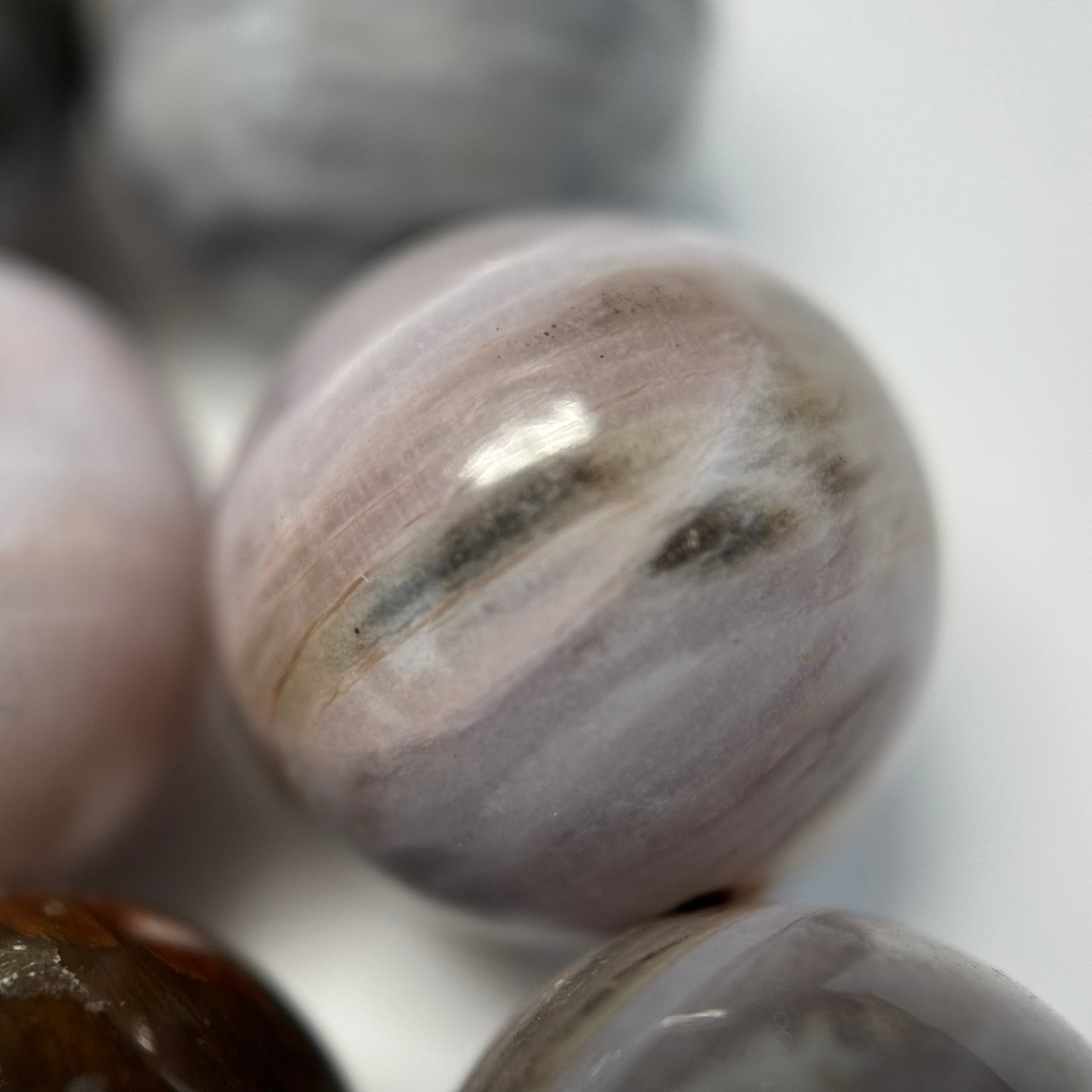 White Petrified Wood Polished Round Beads image 6