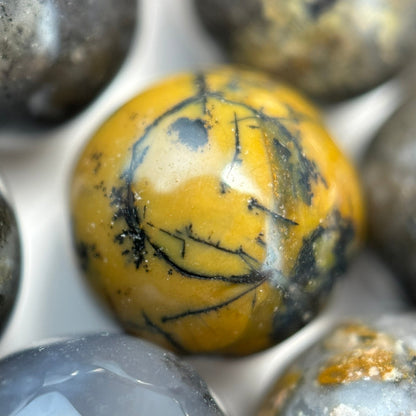 Golden Dendritic Agate Polished Round Beads image 5