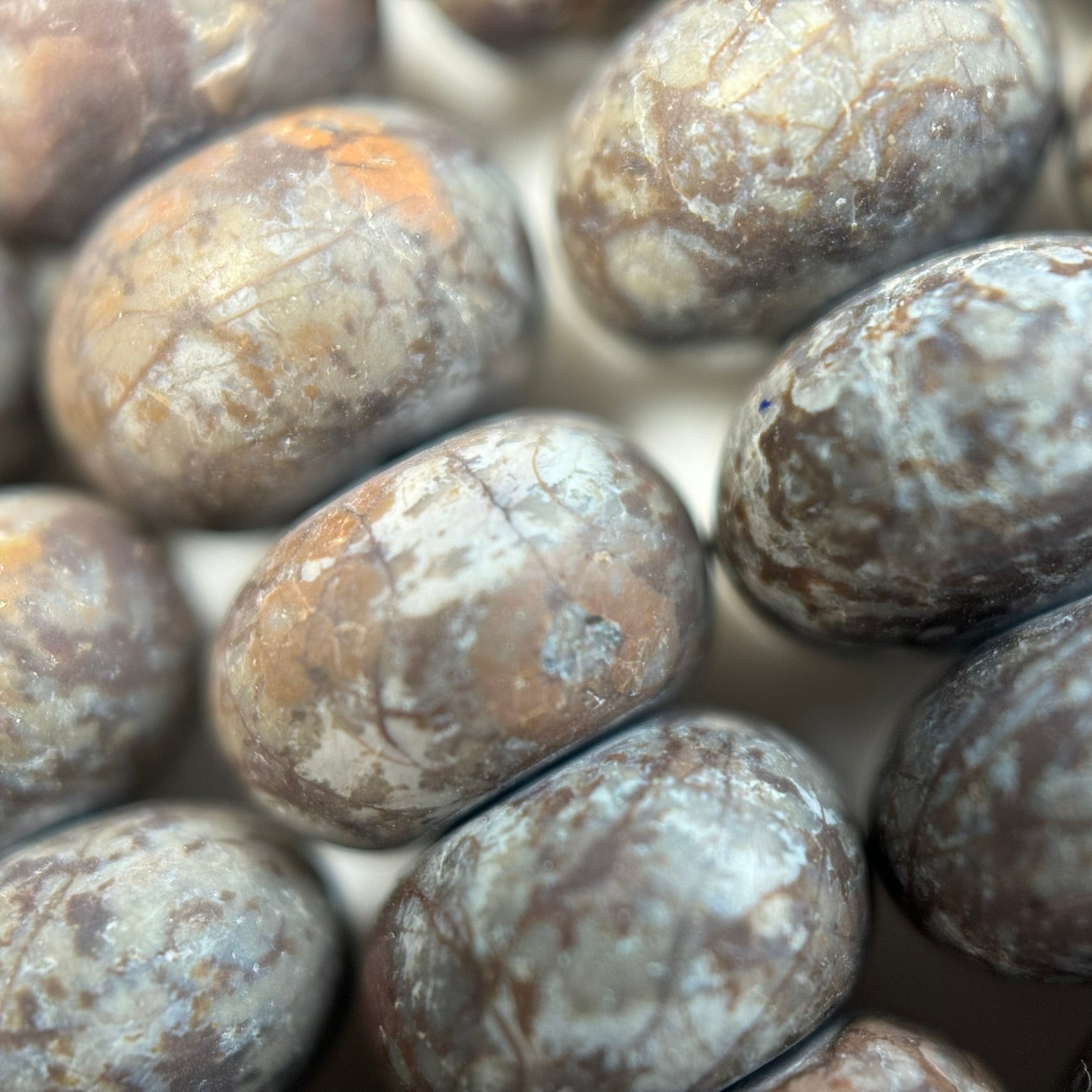 Brown Coral Jasper Frosted Rondelle Beads image 1